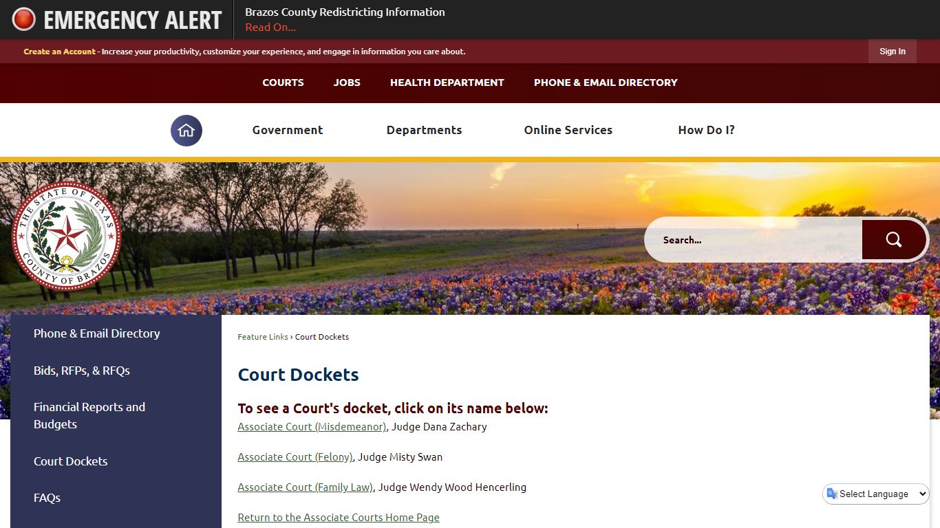 Court Dockets | Brazos County, TX - Official Website