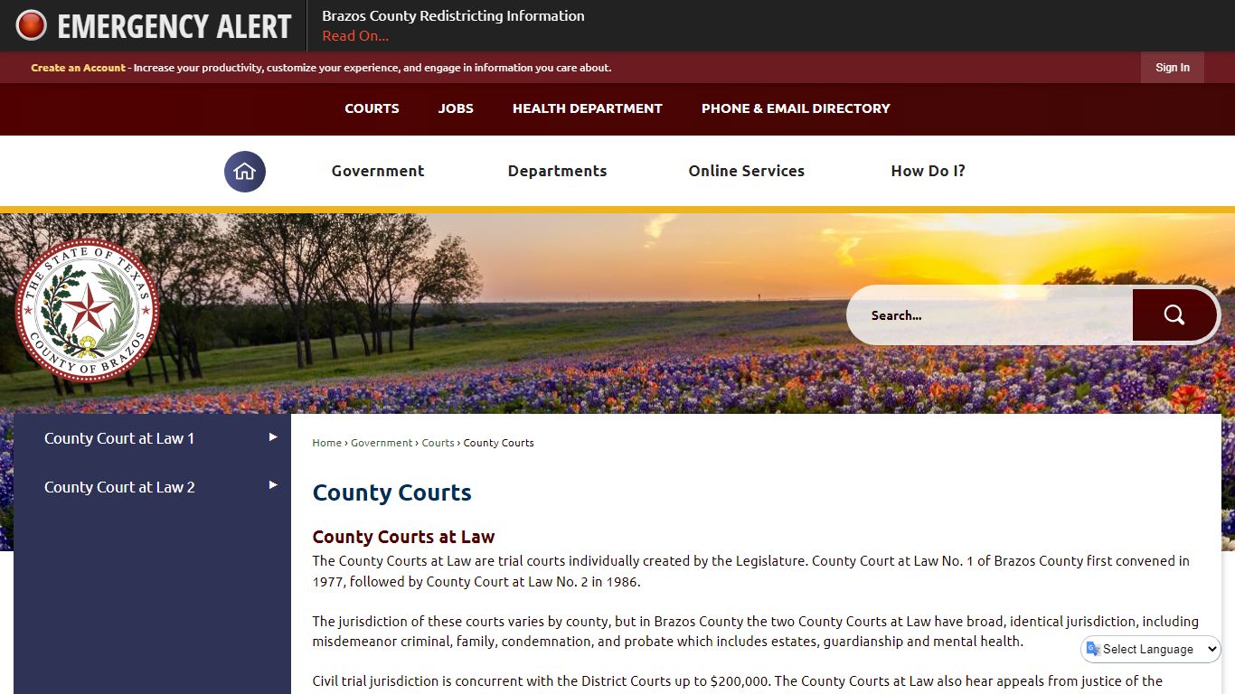 County Courts | Brazos County, TX - Official Website